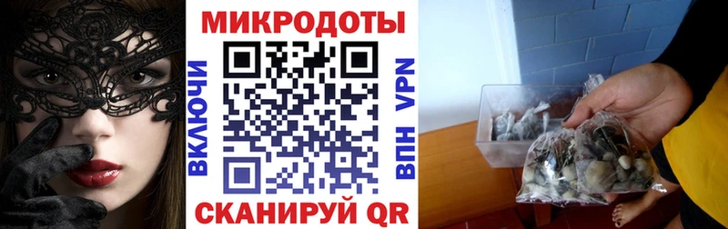 купить  цена  omg как войти  Псилоцибиновые грибы ЛСД  Ершов 